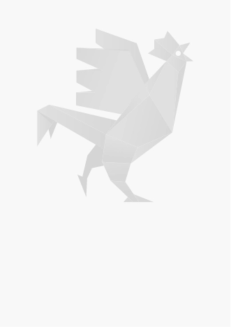 Portes ouvertes Lycée Saint Cricq