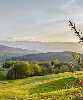 INNOVATIONChez Octave crée des vélos spécifiques pour les golfeurs