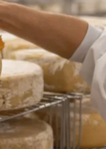 Les Saloirs de Louis vont s’agrandir