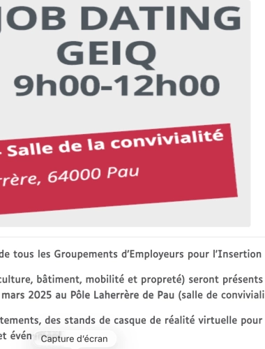 job dating spécifique aux GEIQ et à la formation en alternance